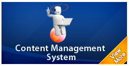 content management system (cms)