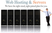 managed hosting, cloud hosting, cpanel web hosting, shared (virtual) hosting, dedicated web hosting, reseller web hosting, colocation web hosting, clustered hosting, grid hosting solution provider company in India
