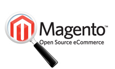 magento development, magento ecommerce development services India, magento solution, magento website development company in India